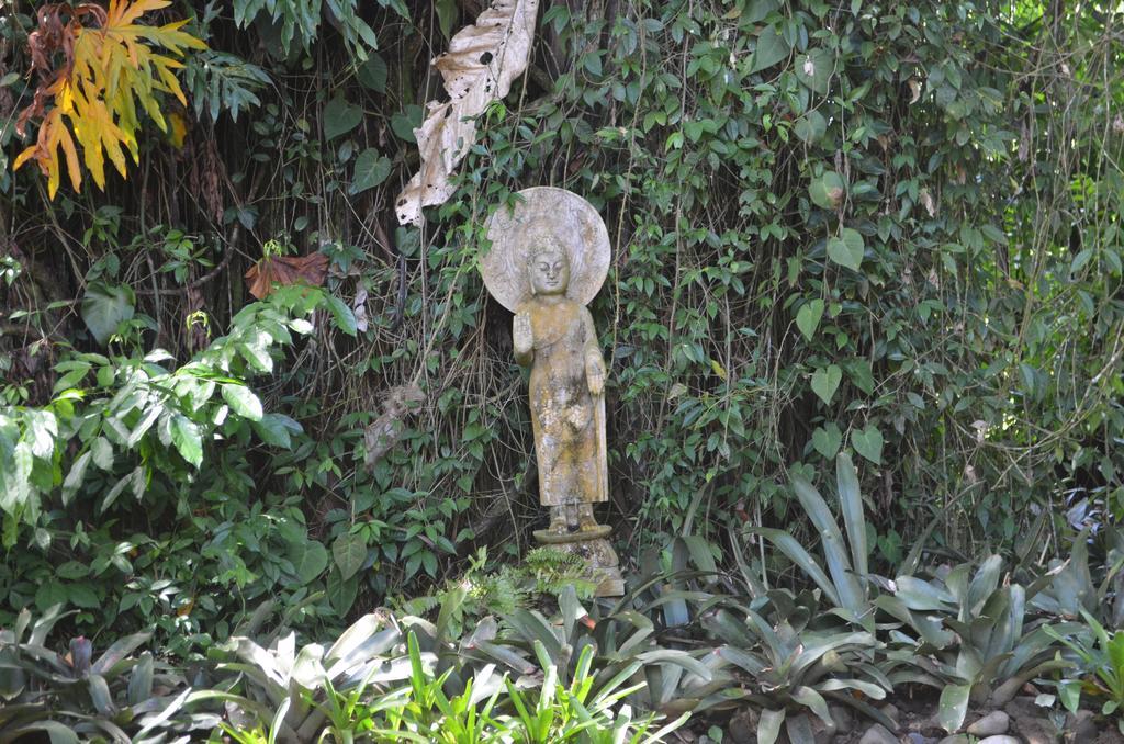 Lanna Ban Hotel Puerto Viejo de Talamanca Luaran gambar